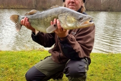 ASV-Zander