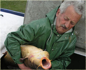 Karpfenbeastz